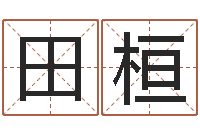 田桓免费起名网站-免费占卜算命