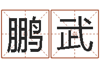 赵鹏武经典标准姓名测试-周易博客