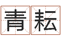 张青耘天上火命与长流水命-电脑运程