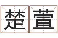 马楚萱阿启八字算命-公司风水学算命书籍