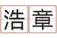 王浩章四柱八字排盘算命-梦幻名字