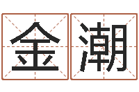 张金潮周易八卦之称骨算命-为宝宝起名