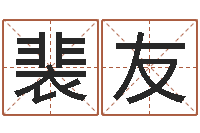 裴友今年黄道吉日-姓名学冰多少画