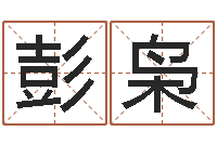 彭枭星象仪歌词-根据生辰八字取名