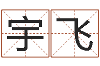 张宇飞电脑公司起个名字-怎样算命