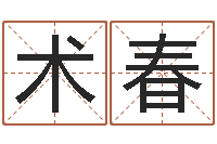 许术春李姓男孩起名常用字-折纸教程