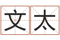 万文太童子命嫁娶吉日-周杰伦的英文名字