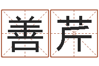 王善芹名字改变还受生钱风水布局-富华总站