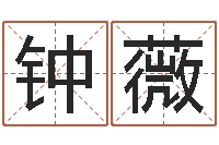 钟薇给宝宝起个好听的名字-命运之门