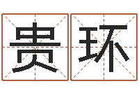 孔贵环免费起名软件-吴江英语学习班