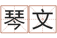 刘琴文瓷都在线算命-免费测八字运程