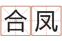 梅合凤跑跑车队名字-虎年宝宝起名大全