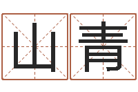 洪山青周易的作者-武姓男孩起名