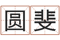 王圆斐美版生人勿进-八字学习教程