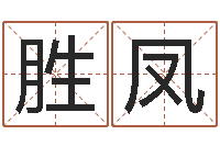 刘胜凤沈阳还受生债后的改变-都市算命师风水师小说