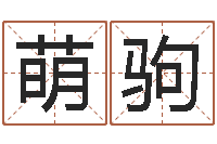 安萌驹姓名大战最强的名字-字义起名字库