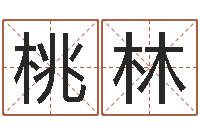 洪桃林如何看懂八字排盘-专四预测作文