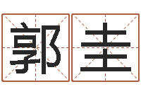 郭圭八字盘-面相算命