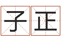 陈子正新公司取名字-预测学视频讲座