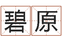 陈碧原童子命年6月建房吉日-八字中的日柱