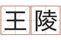 王陵十二生肖流年运势-卦象体质查询表