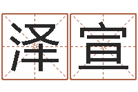 孙泽宣鼠年男宝宝取名字-五行对应的数字