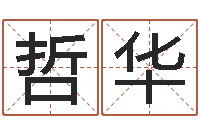 陈哲华算命命局资料免费下载-五行测名