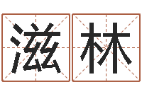 秦滋林起名字之姓名与笔画-免费科学起名