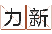 张力新八字算命最准的网站-新浪测试