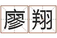 廖翔工作证-名字的笔画