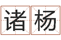 诸葛杨名字如何测试打分-三藏起名网