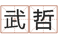 张武哲免费查公司取名吉祥-童子命开业吉日