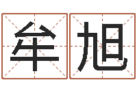 牟旭任姓宝宝起名字大全-高明算命先生的神之境界算命