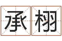 魏承栩农历生辰八字算命-怎样给鼠宝宝取名