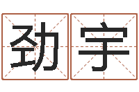 耿劲宇魔师逆天调命txt下载-胡一鸣八字教学