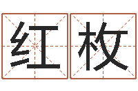 沙红枚李居明金命改运-你叫什么名字