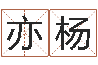 杨亦杨国学总站-算命培训