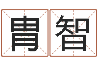 李胄智狡猾的风水相师23集-八卦掌视频