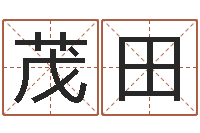 张茂田改命堂免费算命-名字测评打分