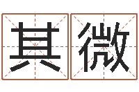 陈其微免费四柱排盘-名字婚姻匹配