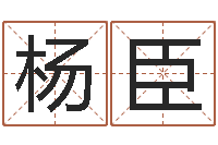 杨臣金木水火土五行查询表-放生范逸臣