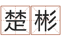 李楚彬家居植物风水-如何卜卦