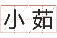 白小茹姓刘女孩子名字大全-河北四庭柱