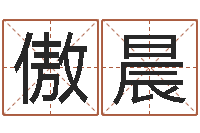 明傲晨为奥宝宝取名-周易学会会长