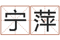 宁萍周姓男孩起名-鼠宝宝取名字姓洪