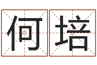 何培算命免费-姓名测字算命评分