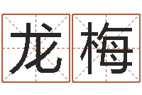 程龙梅马姓宝宝起名字-给孩子取名字