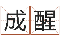 成醒国运-公司起名破解