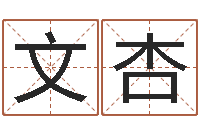 郑文杏生肖兔还受生钱运程-命运的抉择