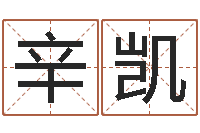 辛凯今年开业黄道吉日-周易算名